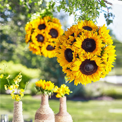 Sublime Garden Hanging Arrangement – BELKY'S FLORIST, Rock Hill SC