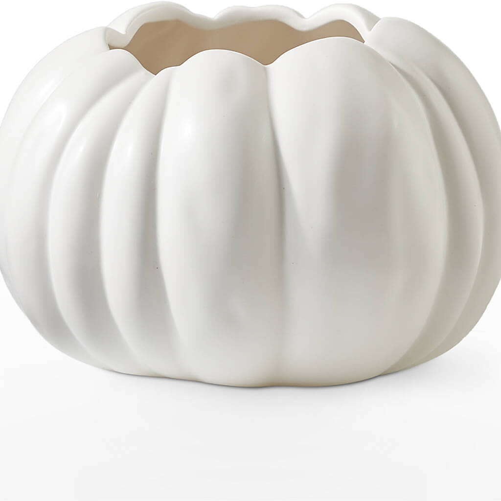 Pumpkin to Talk About Bouquet – BELKY'S FLORIST, Rock Hill SC